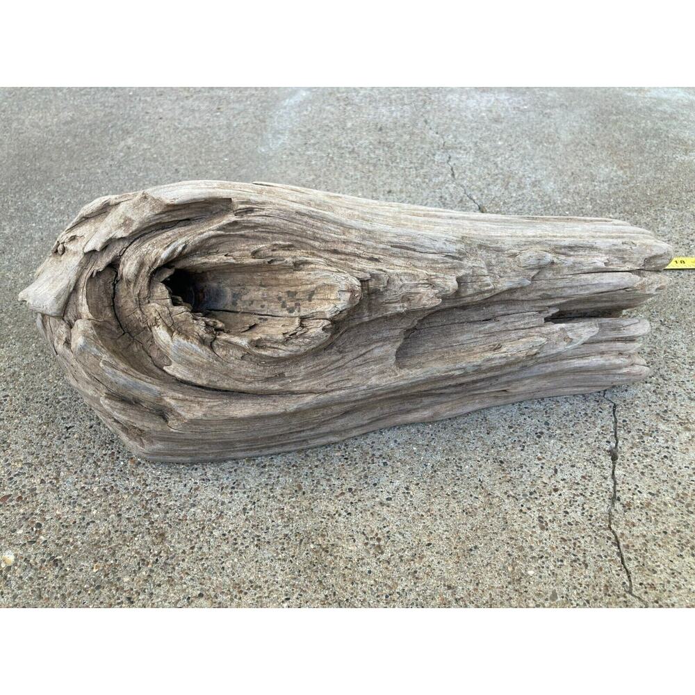 Ohio River Driftwood 13"x4.5"x5.5"